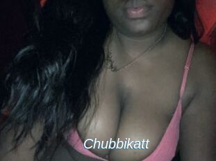 Chubbikatt