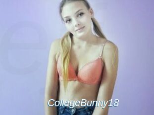 CollegeBunny18