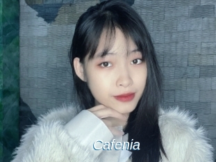 Cafenia