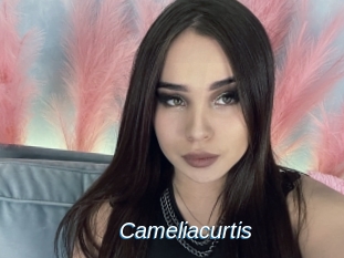 Cameliacurtis