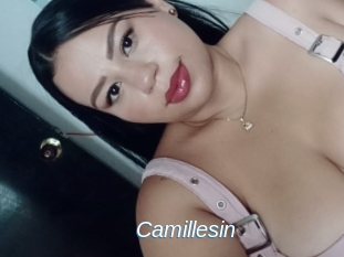 Camillesin