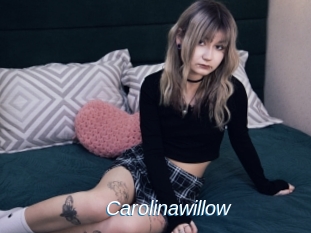 Carolinawillow