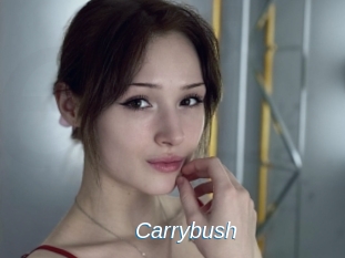 Carrybush
