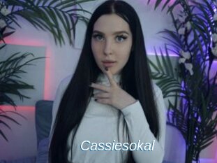 Cassiesokal