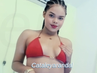 Cataleyarandal