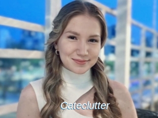 Cateclutter