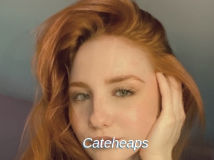 Cateheaps