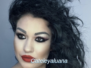 Cateleyaluana