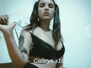 Catleya_x18