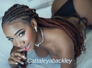 Cattaleyabackley