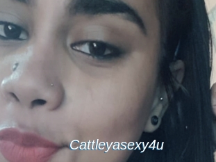 Cattleyasexy4u