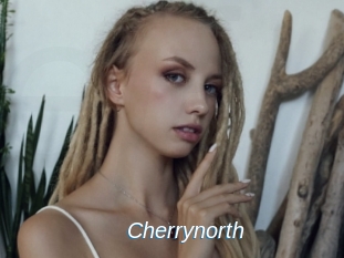 cherrynorth Ejaculations Féminines