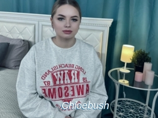 Chloebush