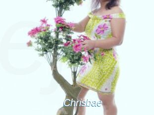 chrisbae Ejaculations Féminines