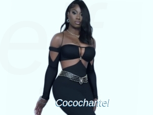 Cocochantel