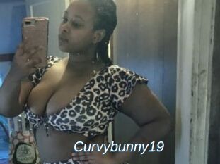 Curvybunny19