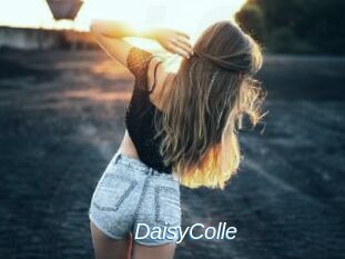 DaisyColle