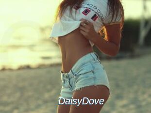 DaisyDove