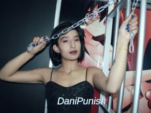 DaniPunish