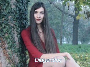 Didgeridoo