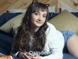 Daisybeech