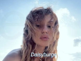Daisyburge
