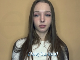 Daisyburland
