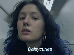 Daisycurles