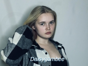 Daisygambee