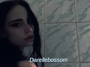 Darellebossom