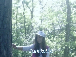 Dariakobra