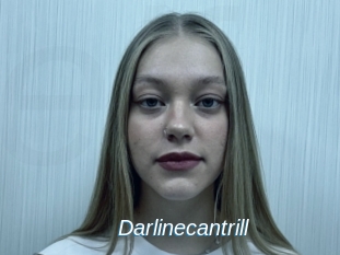 Darlinecantrill