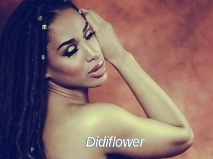 Didiflower