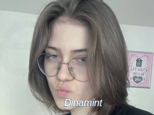 Dinamint