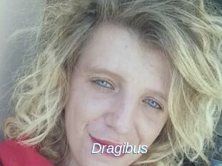 Dragibus