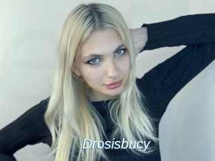Drosisbucy