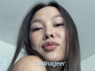 Edinageer