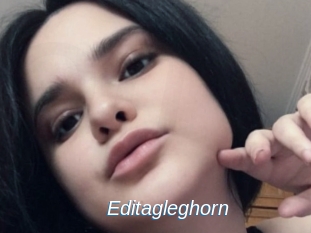 Editagleghorn
