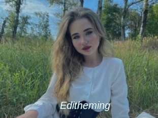 Editheming