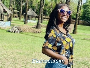 Elainecarsim