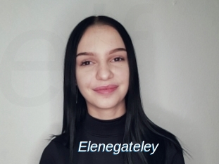 Elenegateley