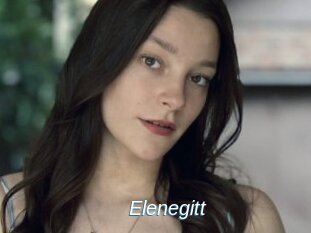 Elenegitt