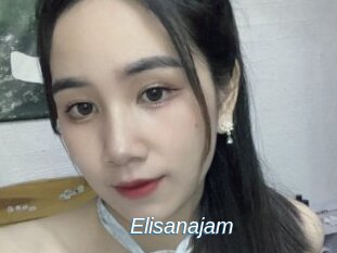 Elisanajam
