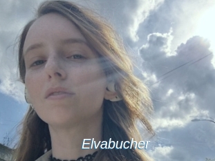 Elvabucher