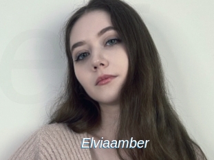 Elviaamber