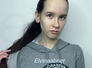 Elvinaabner