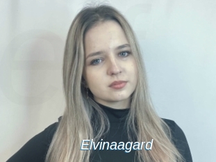 Elvinaagard