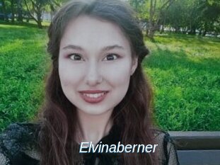 Elvinaberner