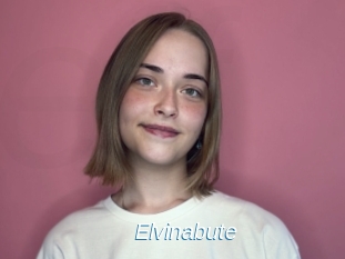 Elvinabute