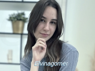 Elvinagomer